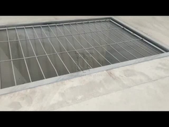 Dòng sản xuất hạt mốc chết phẳng