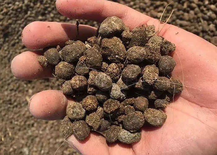 Chất phân bón Granulator trong Granulating vật liệu hữu cơ như hay ngựa vảy Rác thực vật và axit fulvic