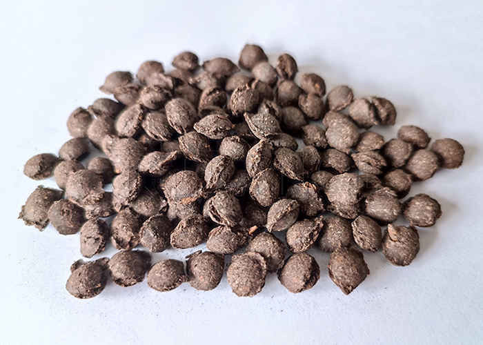 Granules Size 2-10mm Compound Fertilizer Making Line with Double Roller Extrusion Granulator Các hạt có kích thước 2-10mm