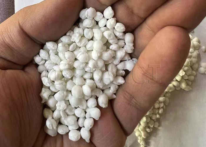 Fertilizer Granulating Machine Chicken Manure Extrusion Granulation Production Line with High Speed Homogenizer